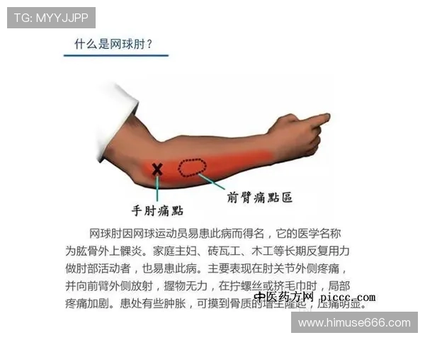 网球盛宴：深入解析上海网球队的训练与技术创新之路